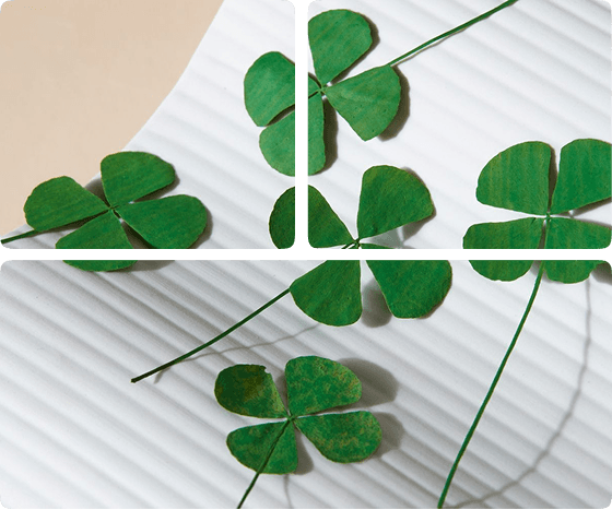 Clover brings countertop checkout, portable payments, compact registers, apps, inventory, and customer-friendly checkout into one flexible POS family. MTech helps match the right Clover devices to your business flow.