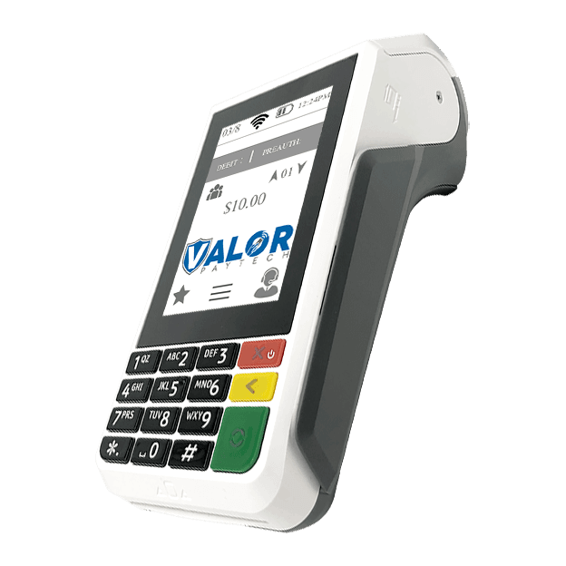 Valor VP 100